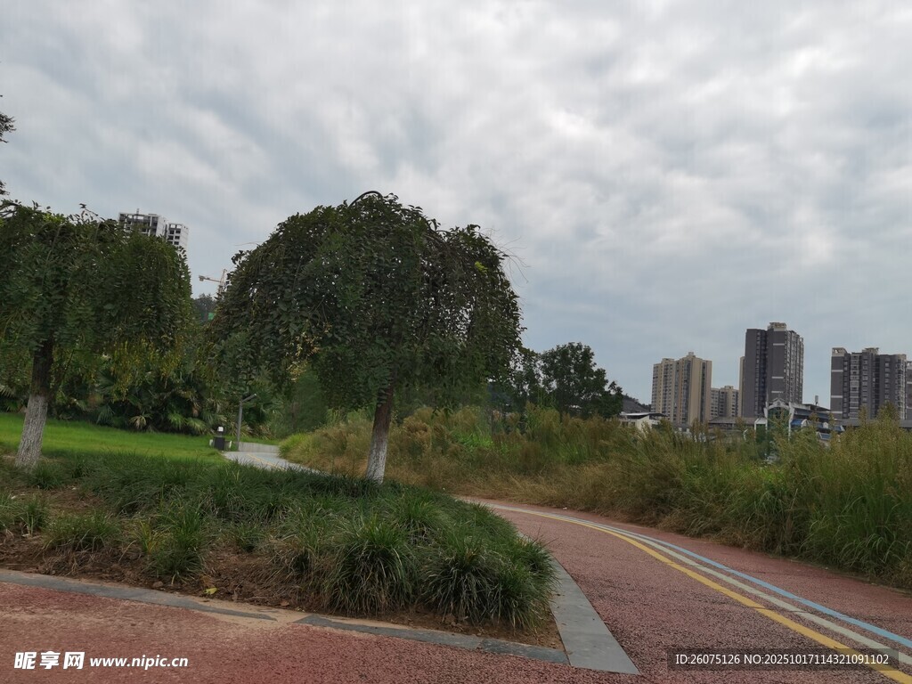 城市中的宁静林荫小路