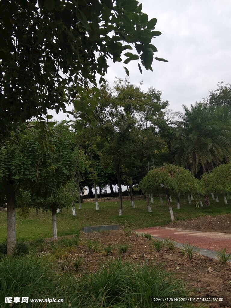 户外绿树环绕的休闲场地