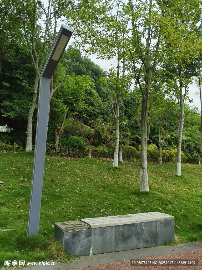 公园中的路灯与绿植景观