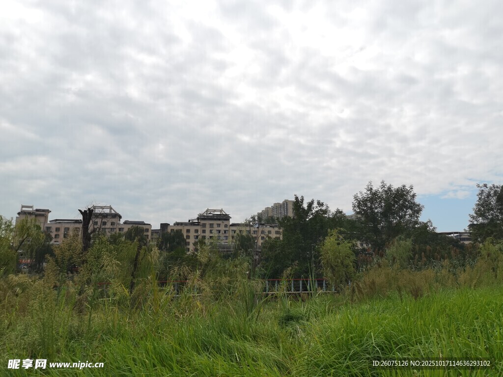 草地旁的古老建筑