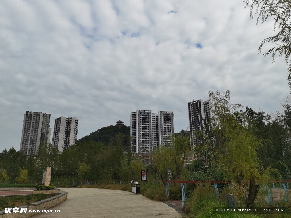 城市公园旁的高楼景观