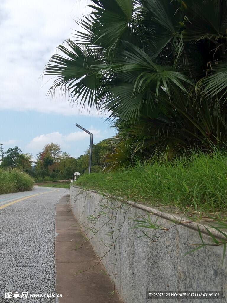 路边绿植与远处恐龙景观
