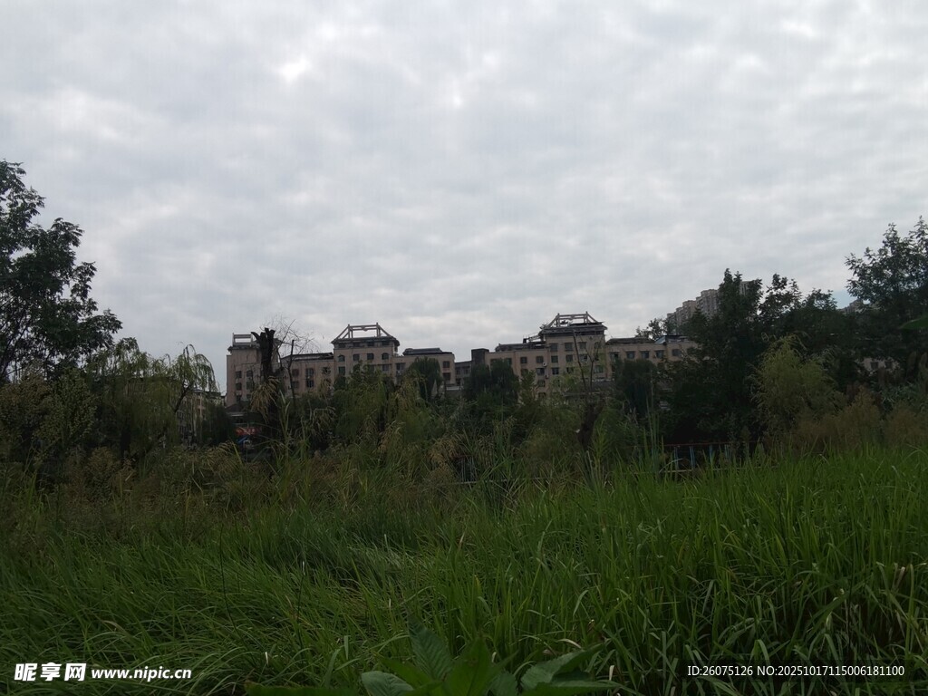 草地后的建筑群