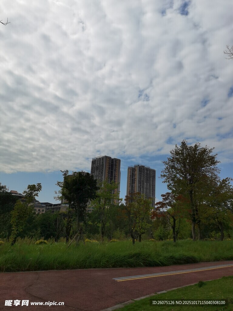 郊外公路旁的绿植与建筑