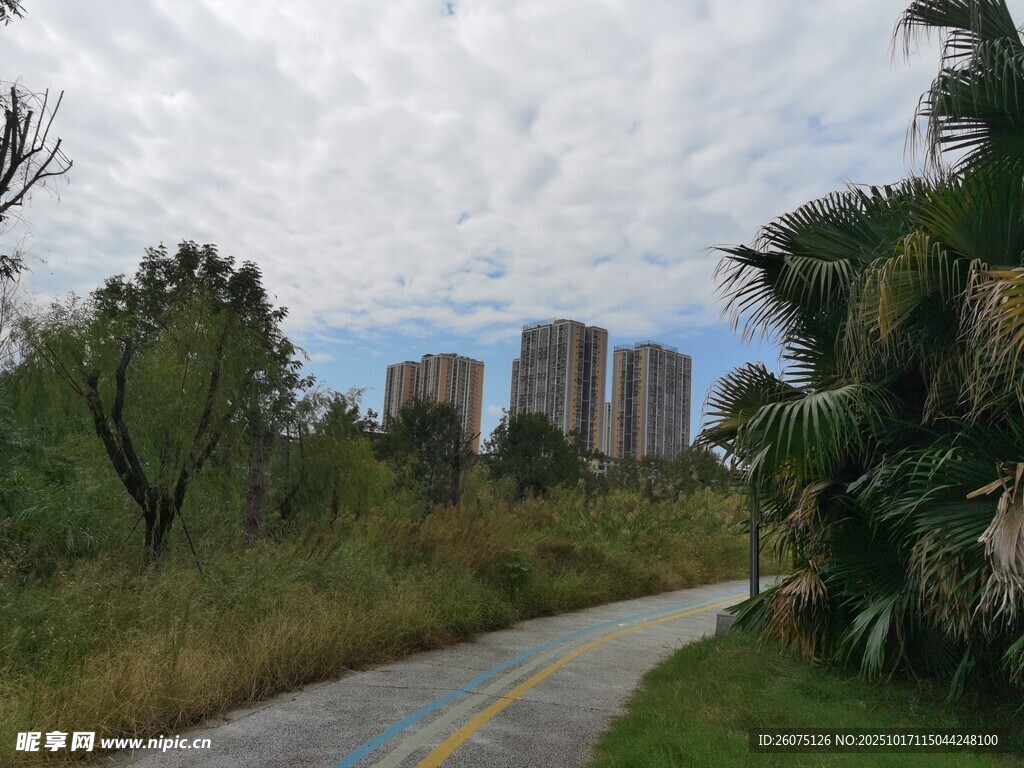 城郊小路旁的葱郁绿植与建筑