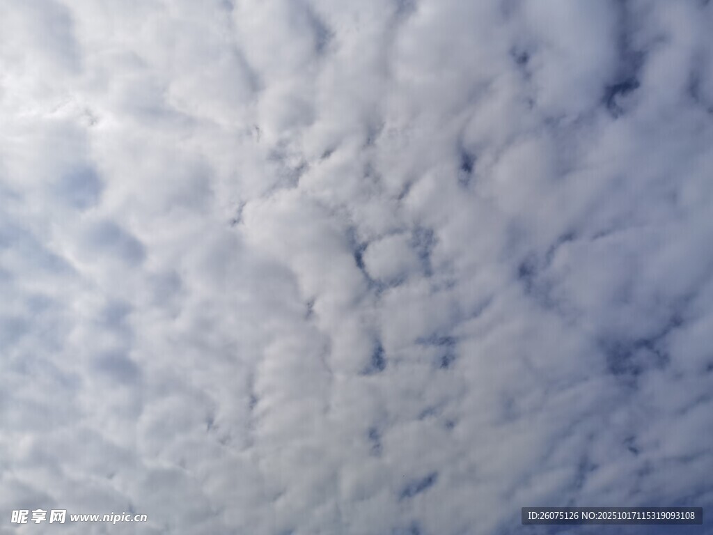 天空中的絮状云朵