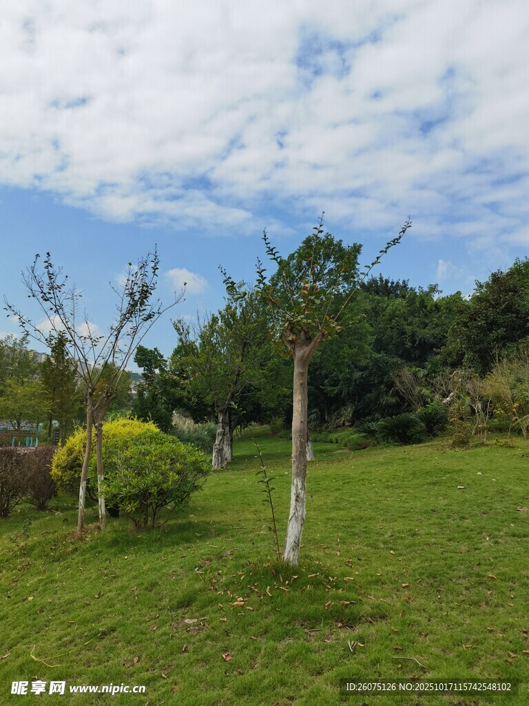 绿意盎然的户外田园风光