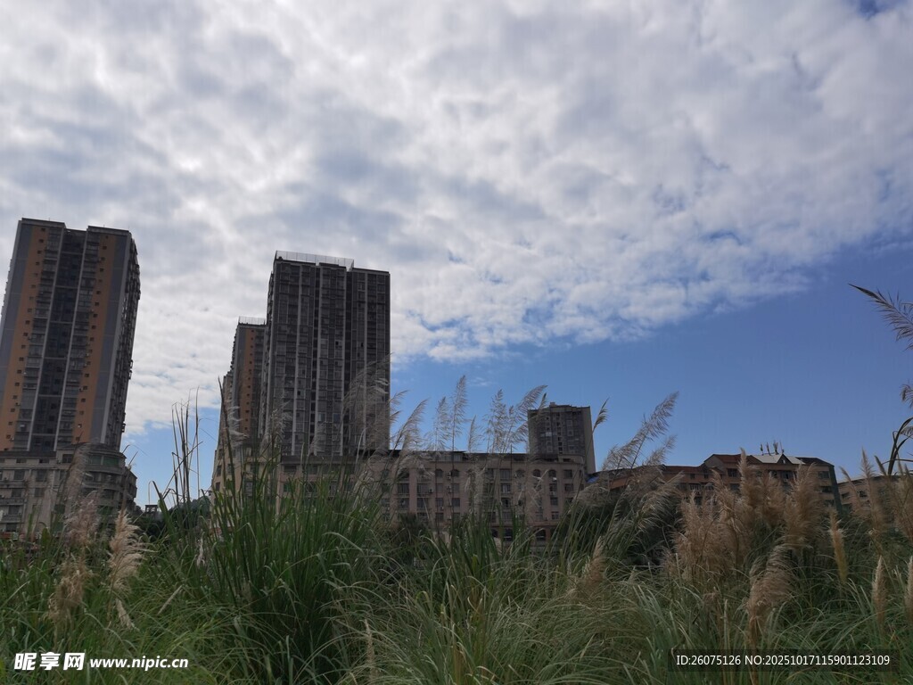 废弃建筑与蓝天绿植景观