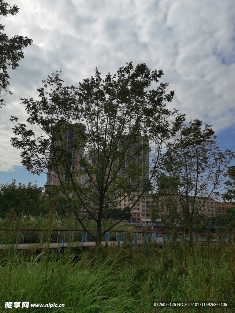 郊外草地旁的高楼风景