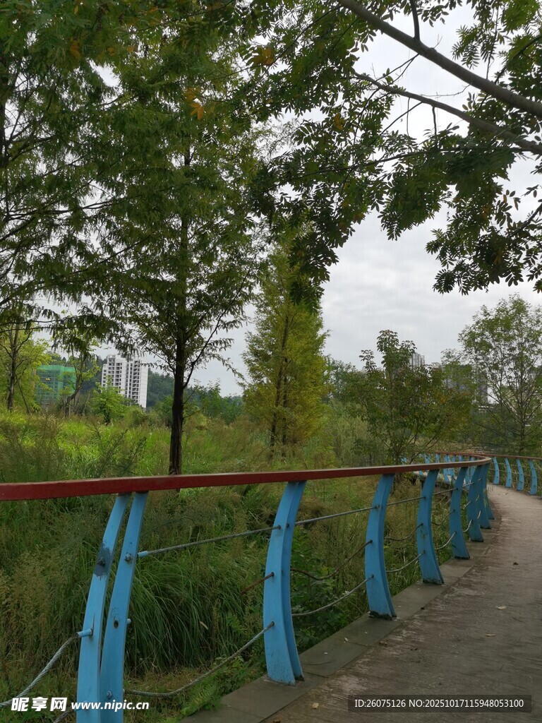 公园小径旁的绿树与栏杆