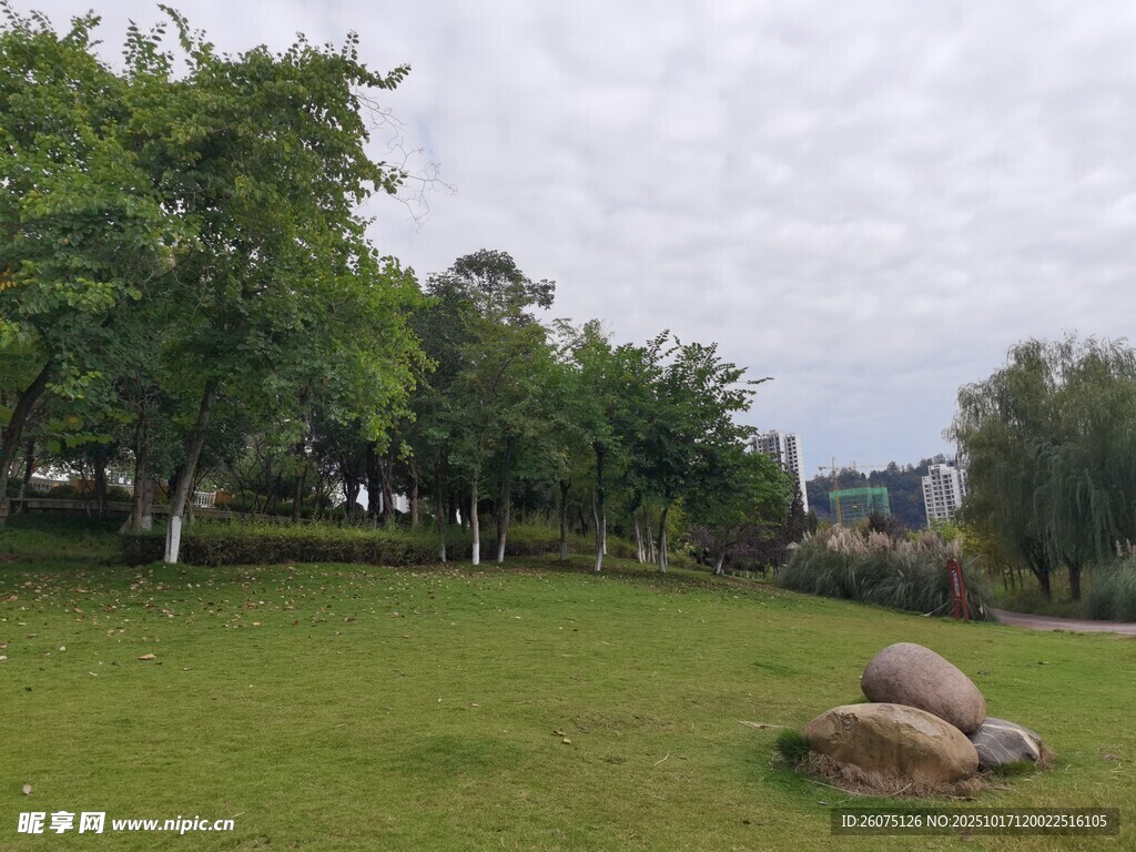 户外草地与巨石景观