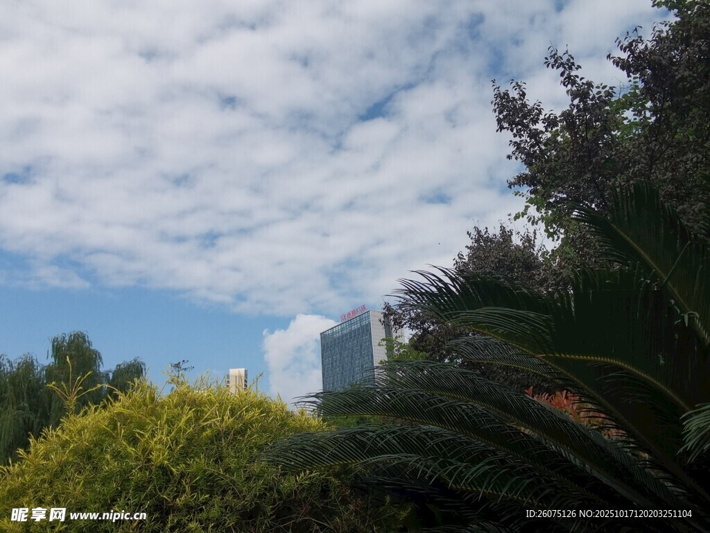蓝天绿树间的城市景致