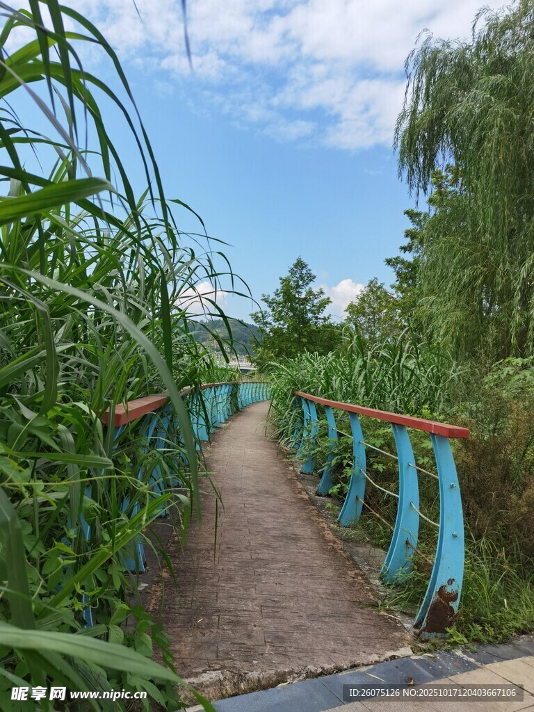 乡间彩桥漫步绿野小径