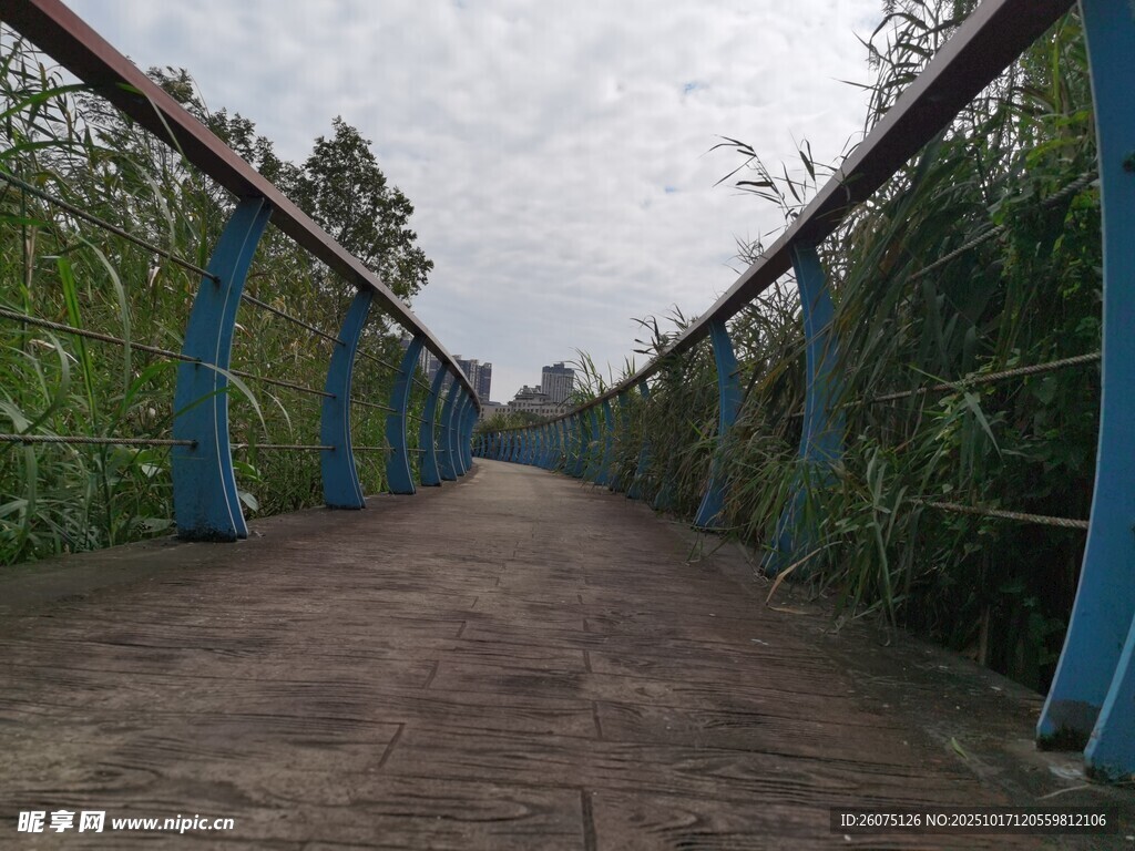 蓝色护栏环绕的林间步道