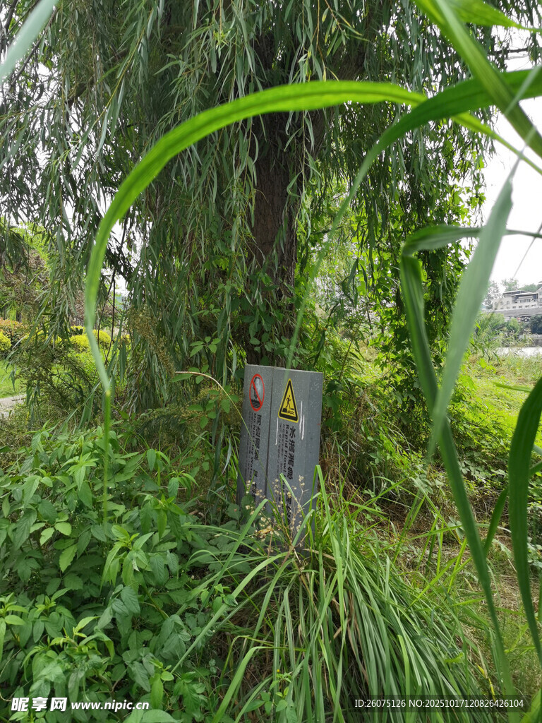 林间隐蔽的金属标志牌