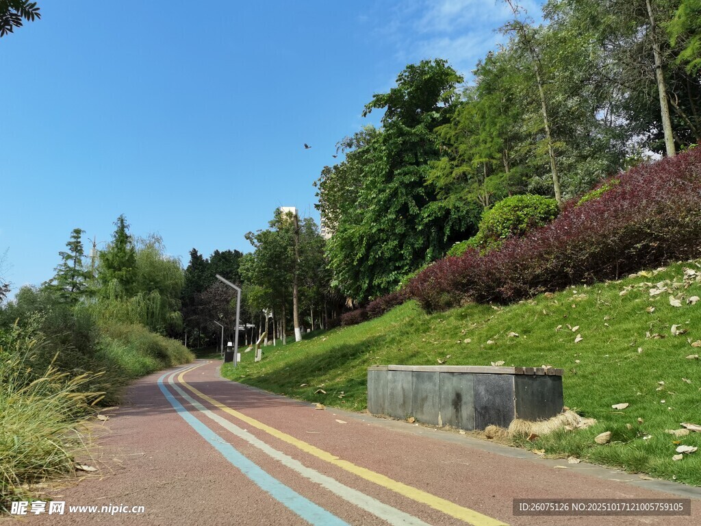 彩色公路旁的绿意风光