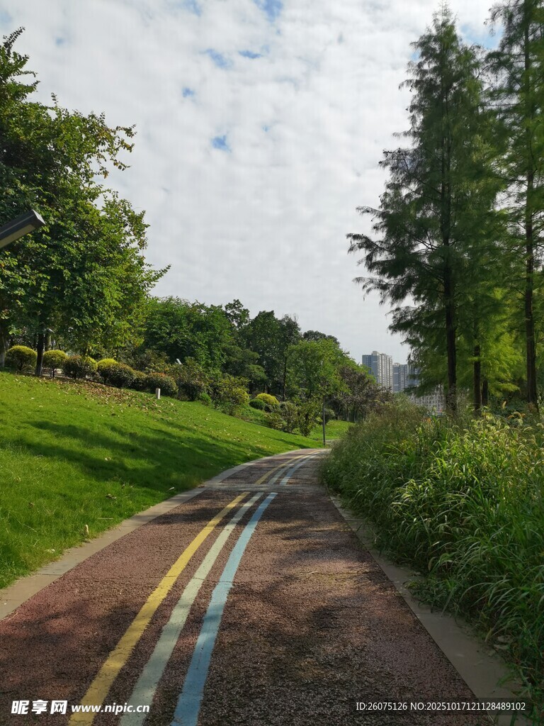 彩色步道旁的绿意景致