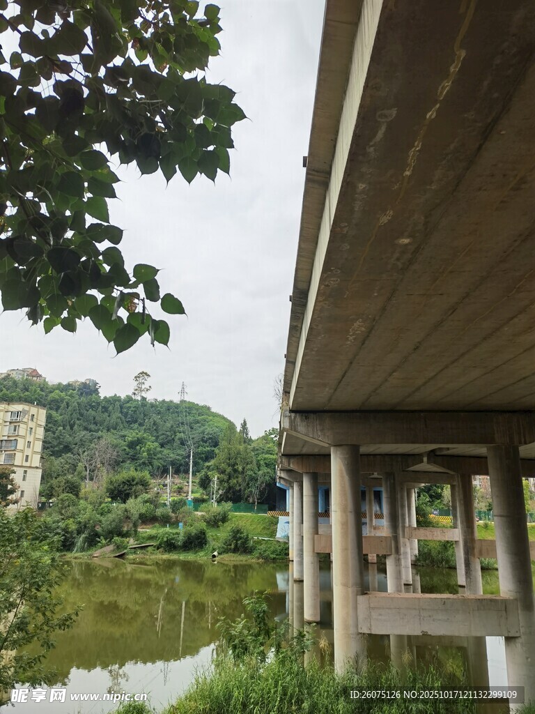 桥下河畔景色