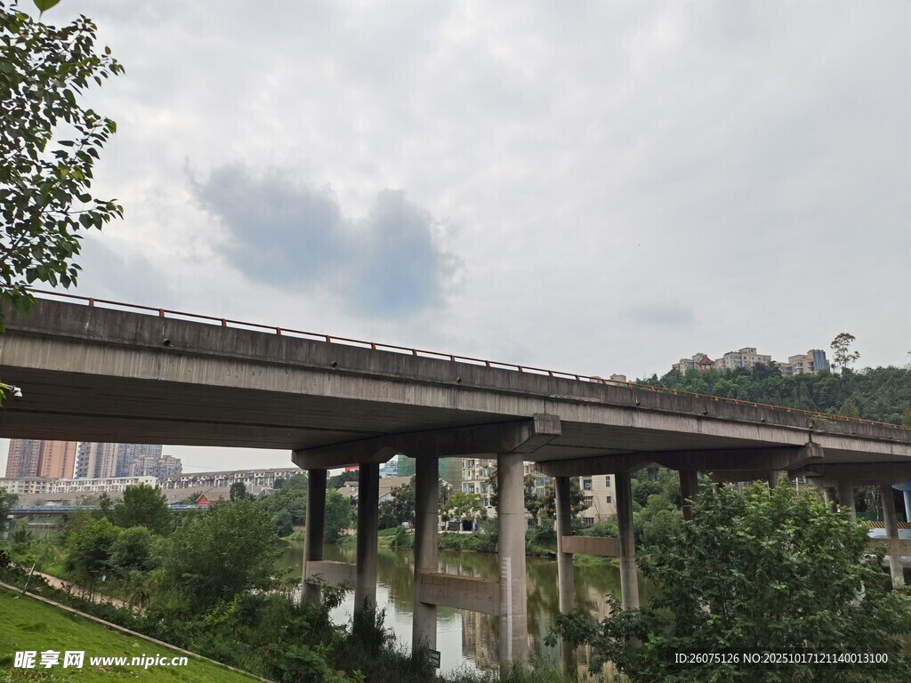 城市高架桥旁的绿意景观