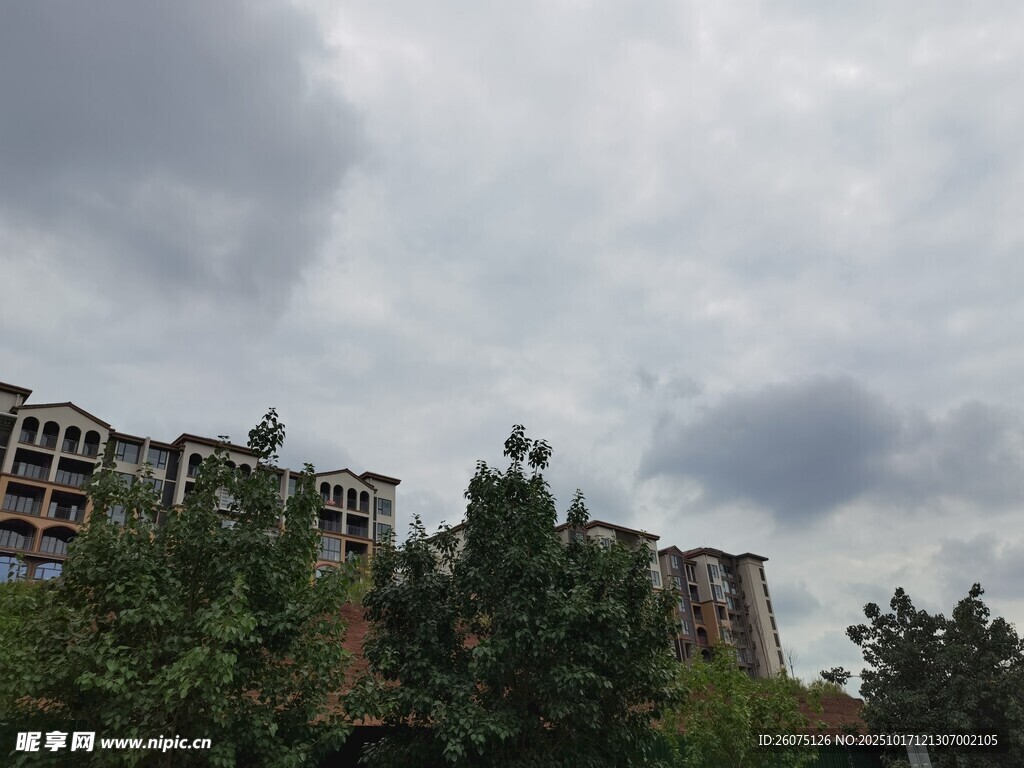 阴天中的楼房与绿树