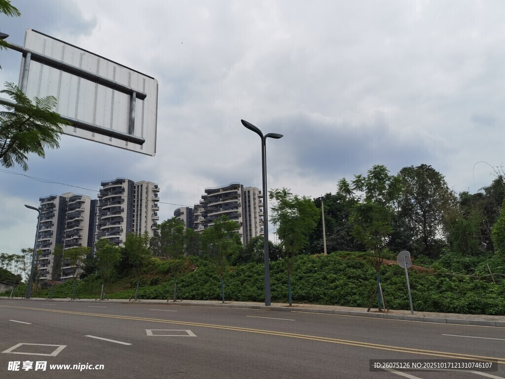 户外篮球场景与高楼绿植