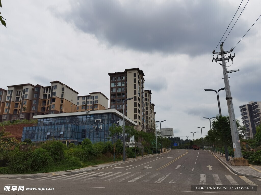 城市街道旁的多样建筑