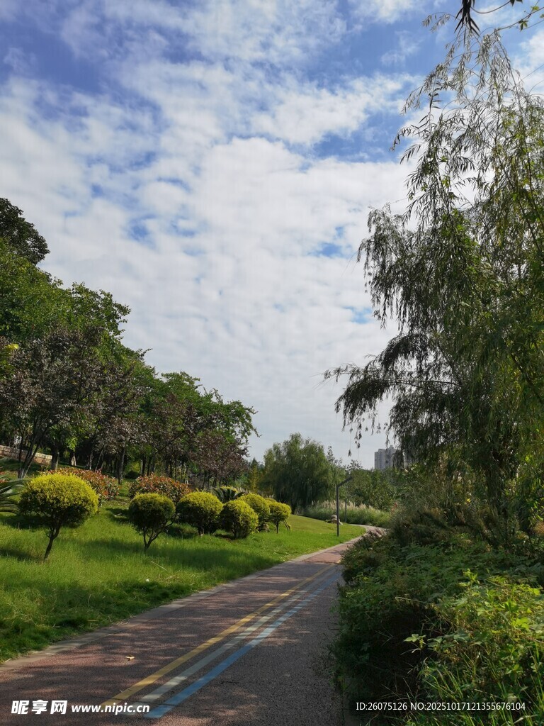 林间小径邂逅自然之美