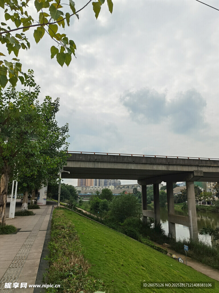 河畔公路桥与绿植景观