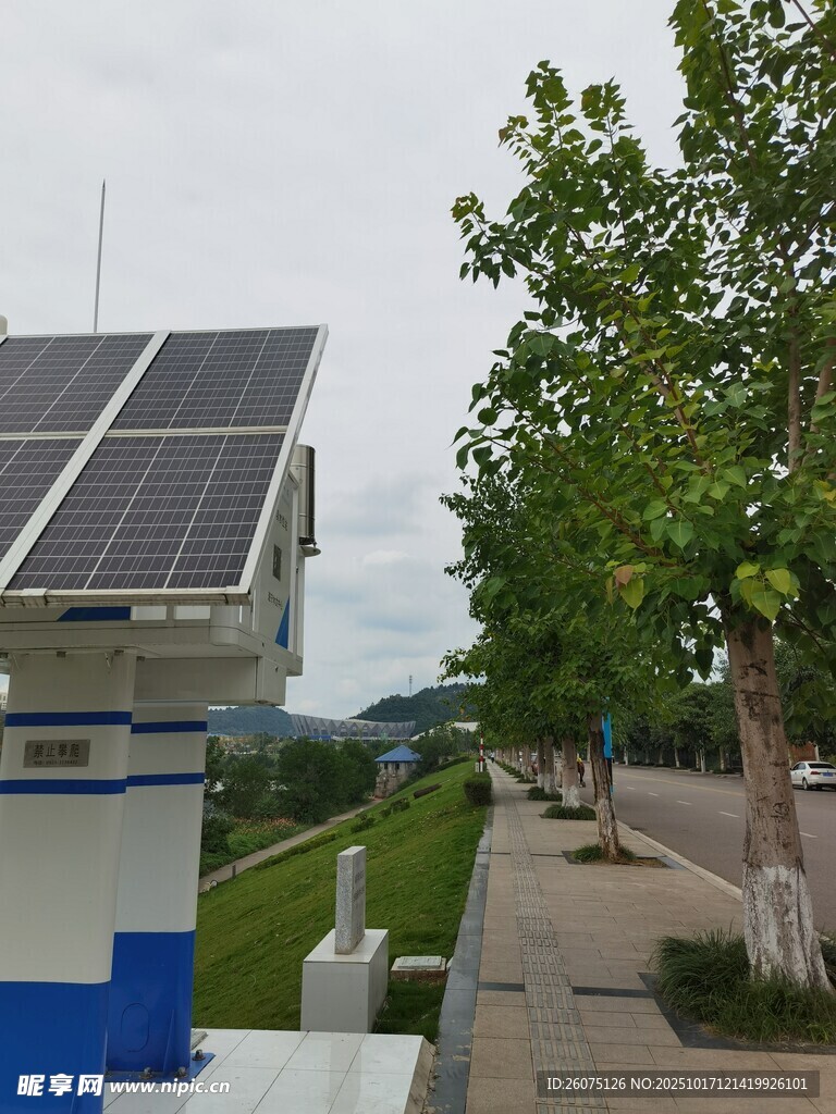 路边太阳能设施与绿树景观