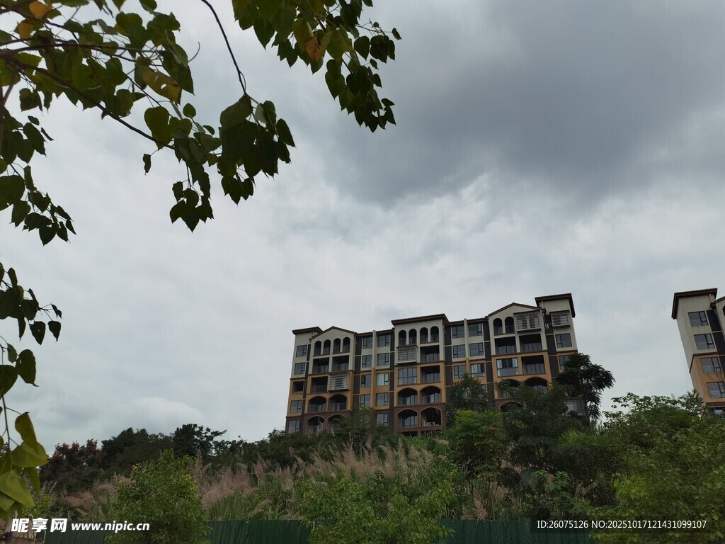 荒废建筑群隐于绿植之间