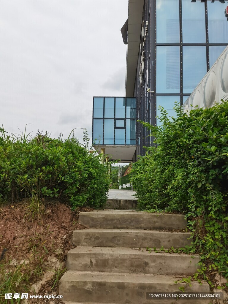 通往现代建筑的绿植台阶