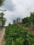 城市中绿意盎然的步道景观