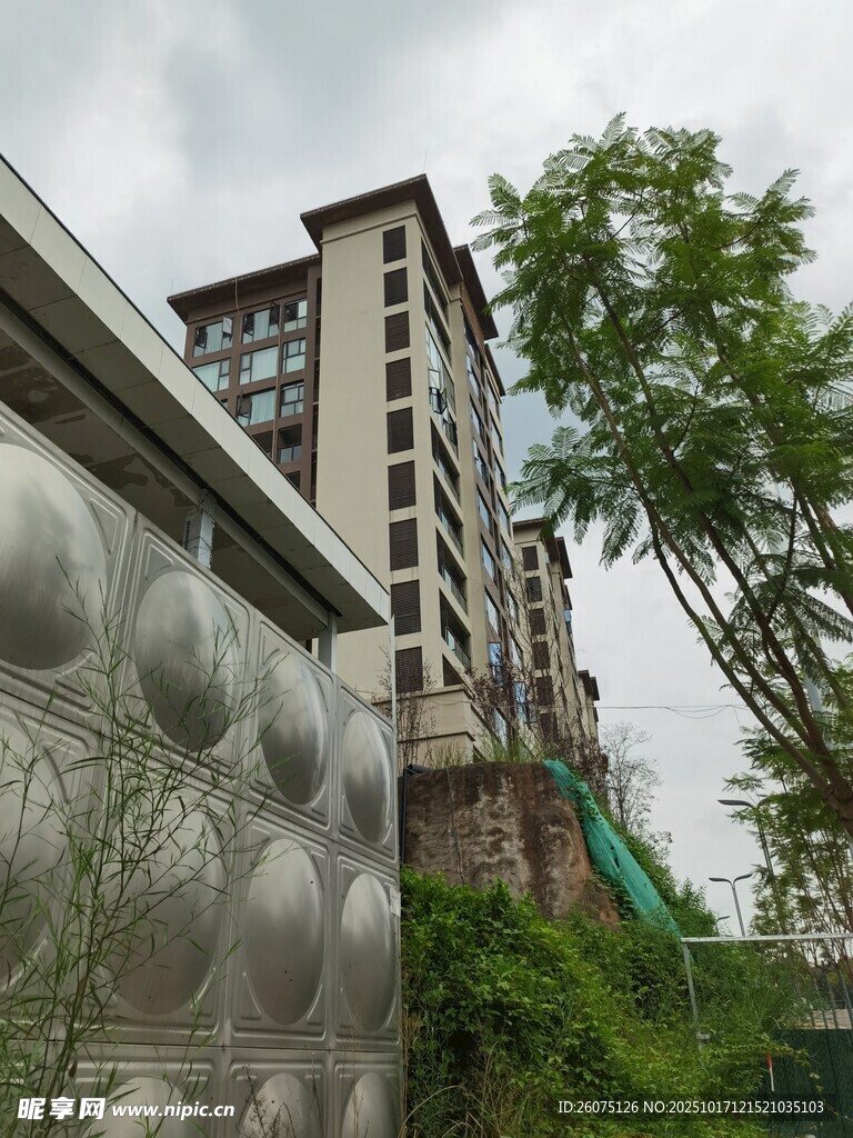 现代建筑旁的绿植景观