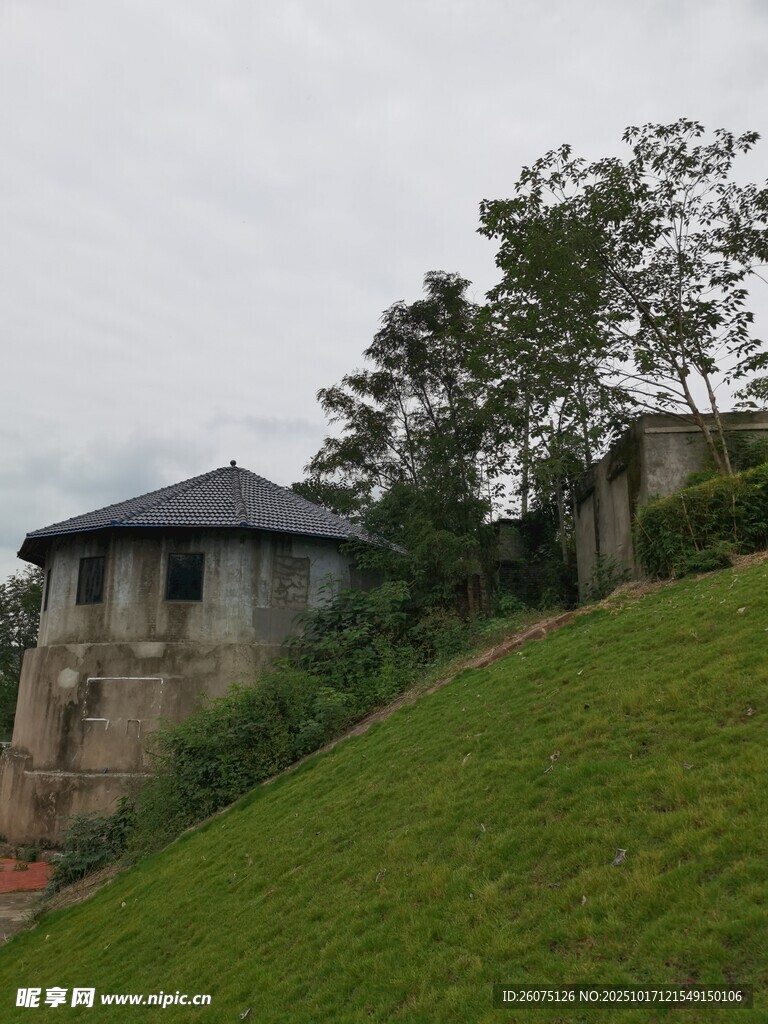 山坡上的特色房屋建筑