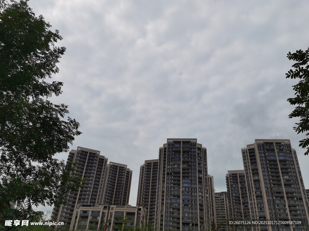 城市高楼与绿树相映成景