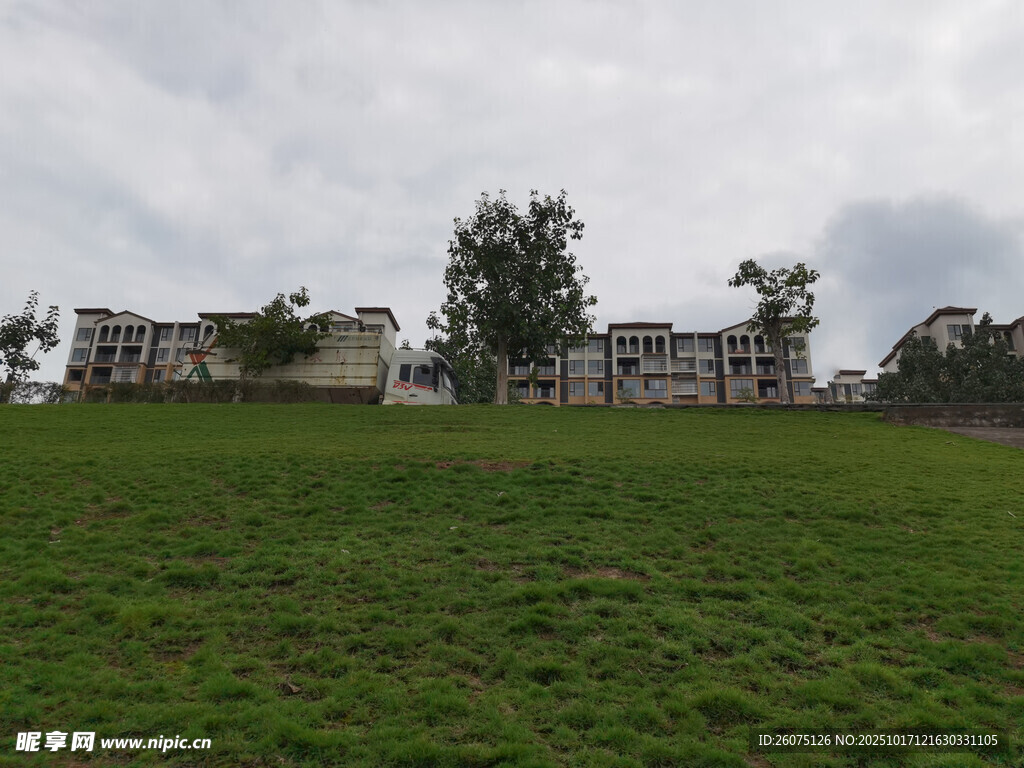 草地旁的建筑景观