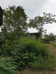 山间绿意中的小屋