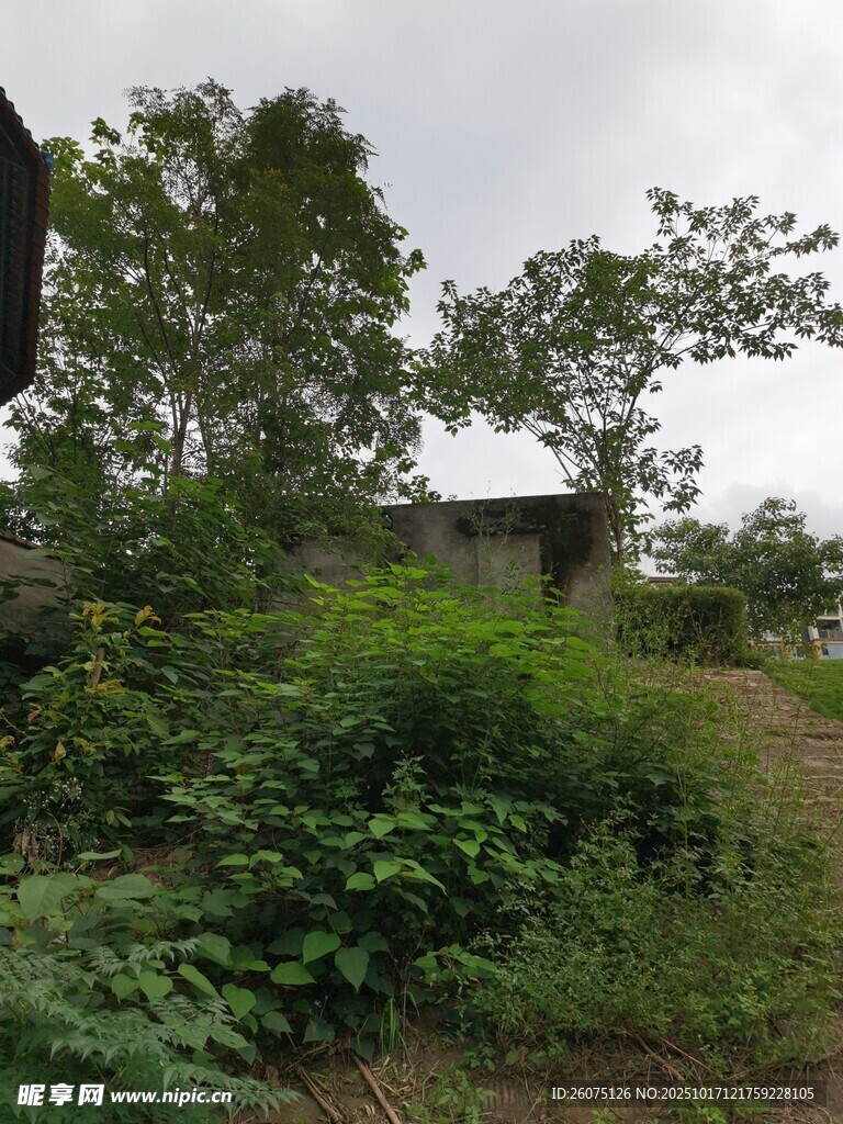 山间绿意中的小屋