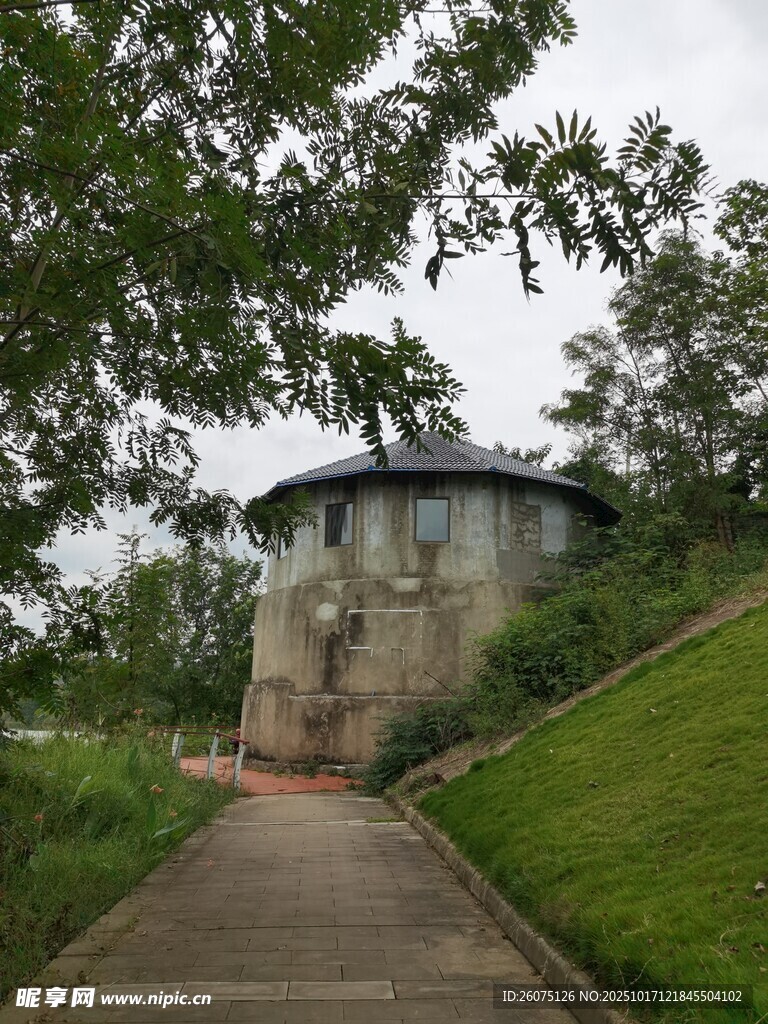 林间小径旁的古朴建筑