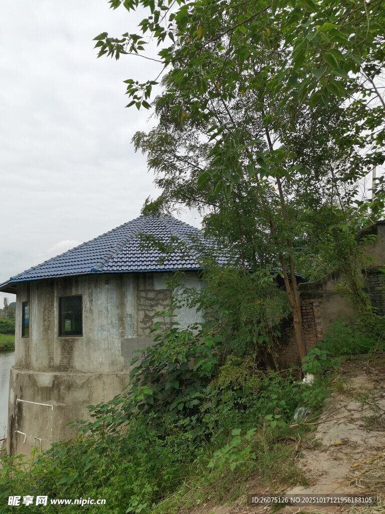 山间小屋隐于绿意之中