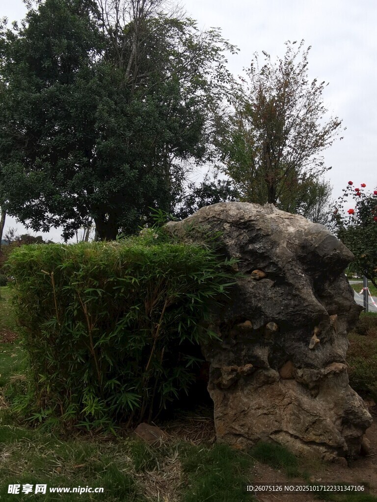 园林景观中的石景绿植