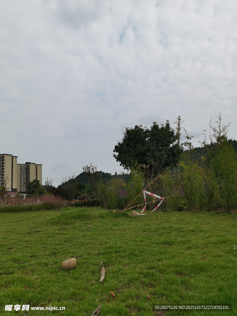 户外草地与远处建筑景观