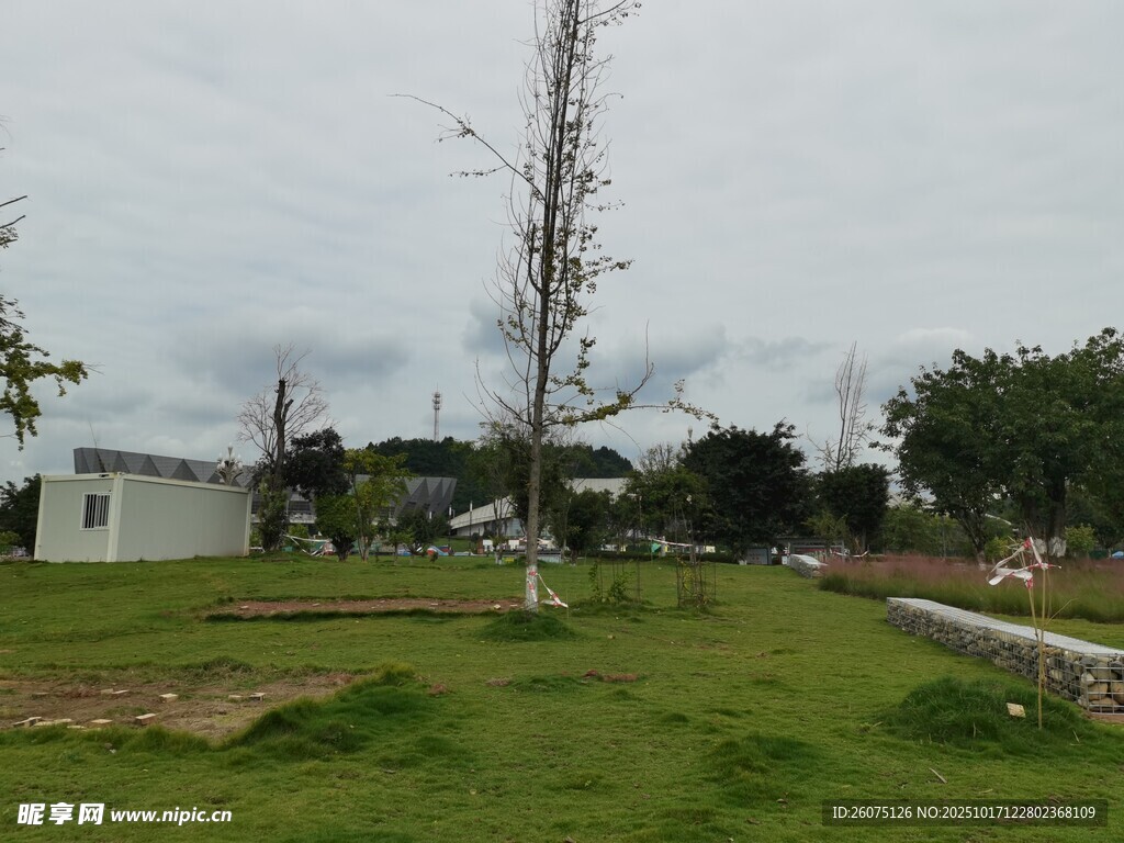 户外草地与建筑景观