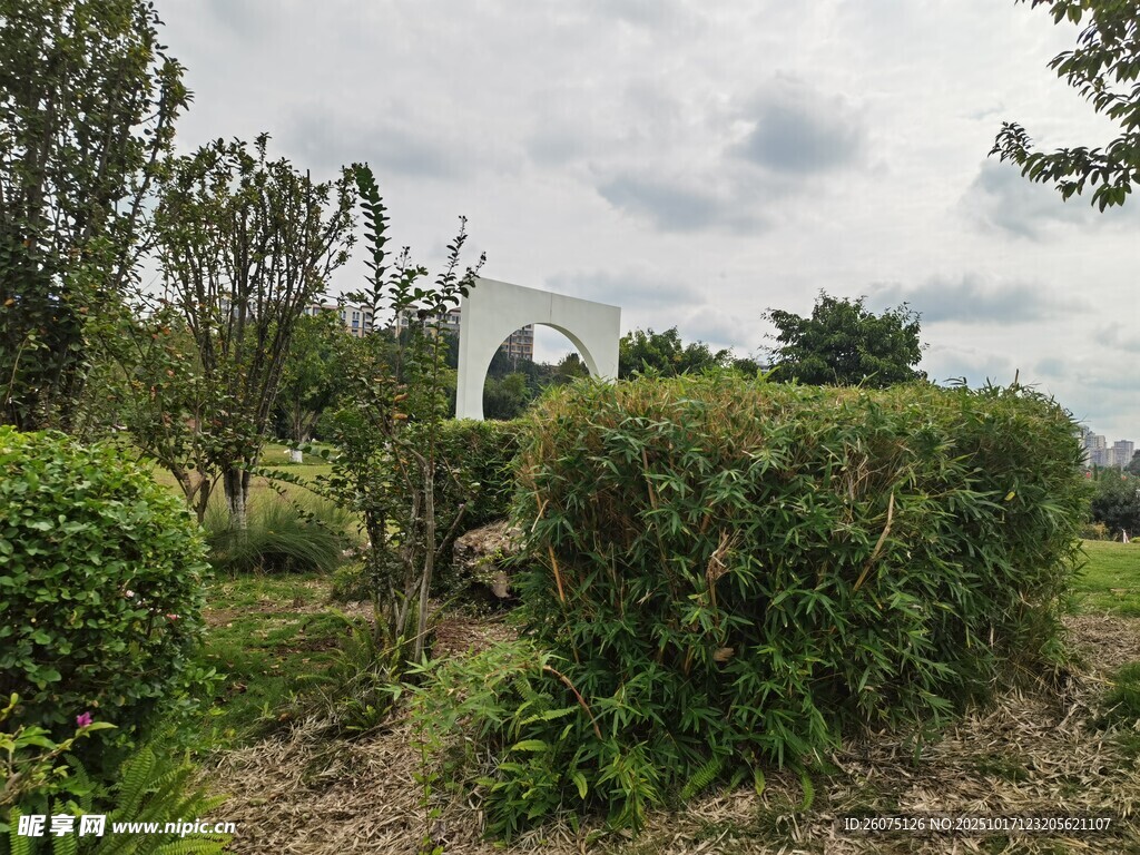 绿意盎然的户外园林景观