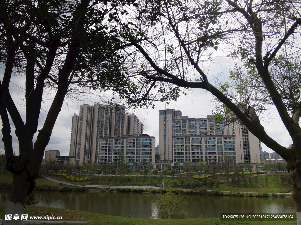 湖畔高楼与葱郁树木景观