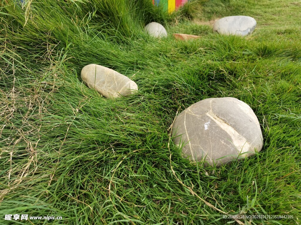 草地上的圆润石头