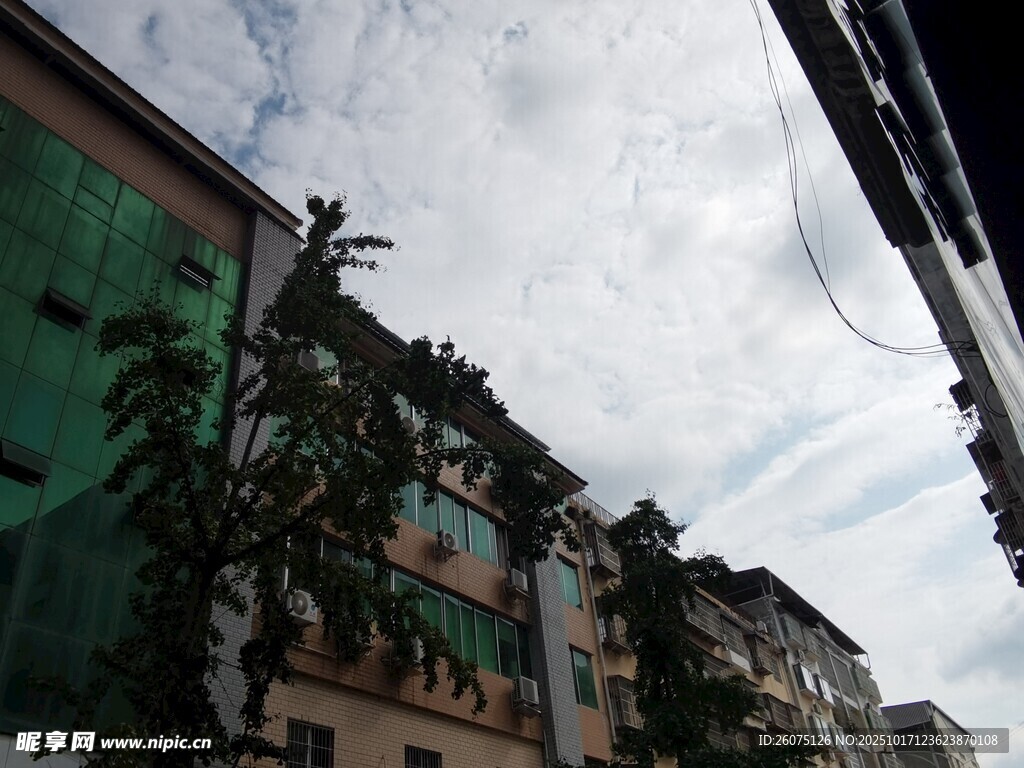 老旧居民楼与绿植景观