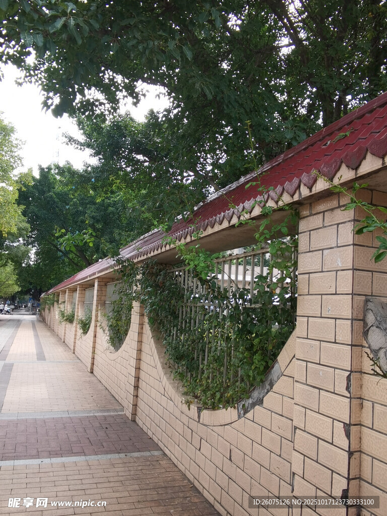 砖砌镂空围墙的静谧小路