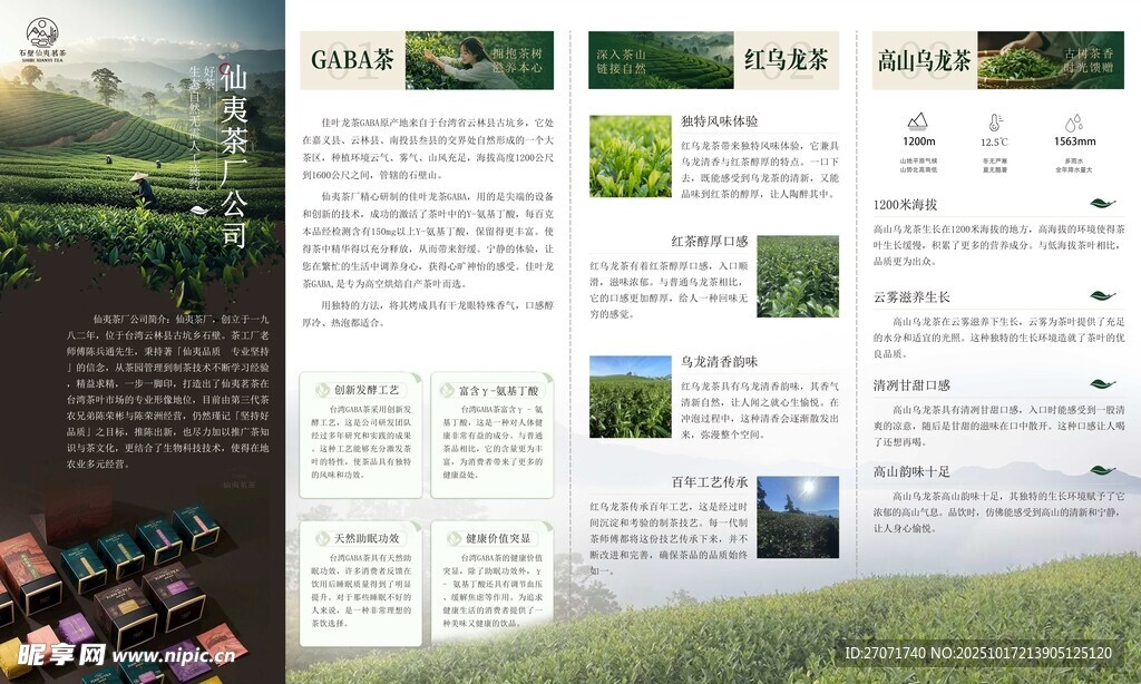 茶叶灯箱折页海报