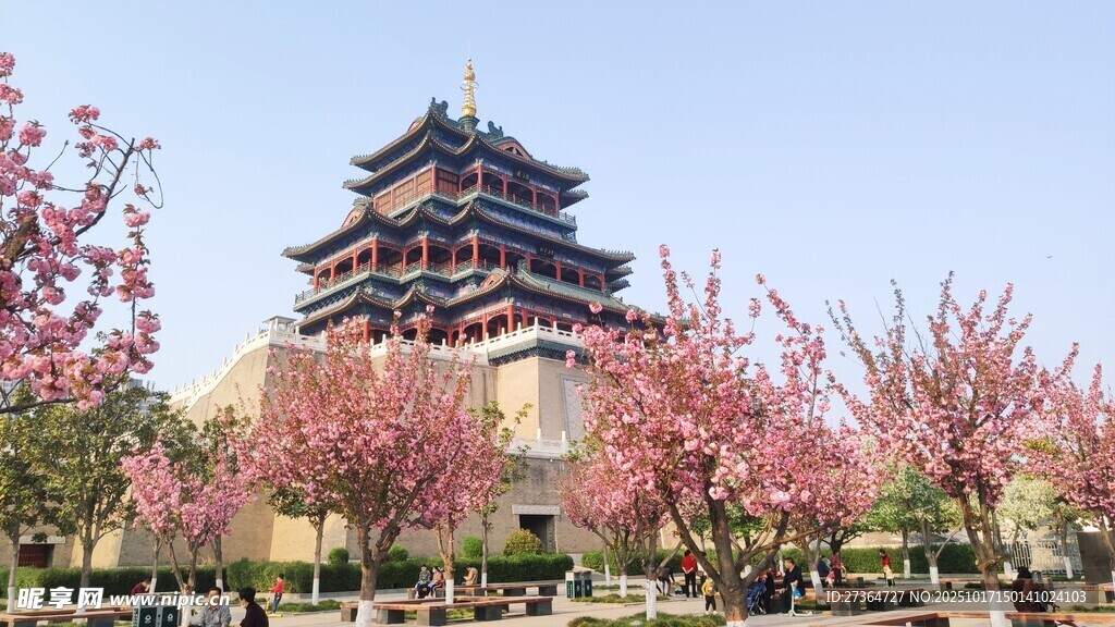 春日繁花映衬下的古建筑